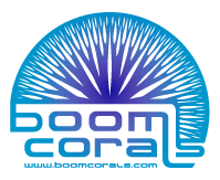 Boom Corals LLC
